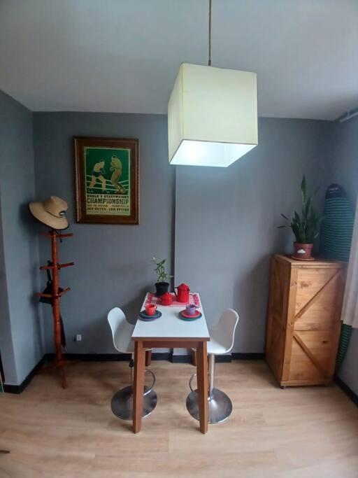 Leme Copacabana - Vista Mar - Pet Friendly * Rio de Janeiro